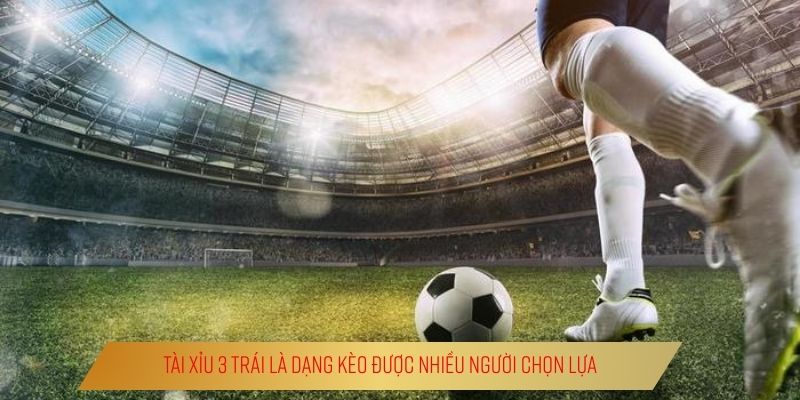 Tài xỉu 3 trái là dạng kèo được nhiều người chọn lựa